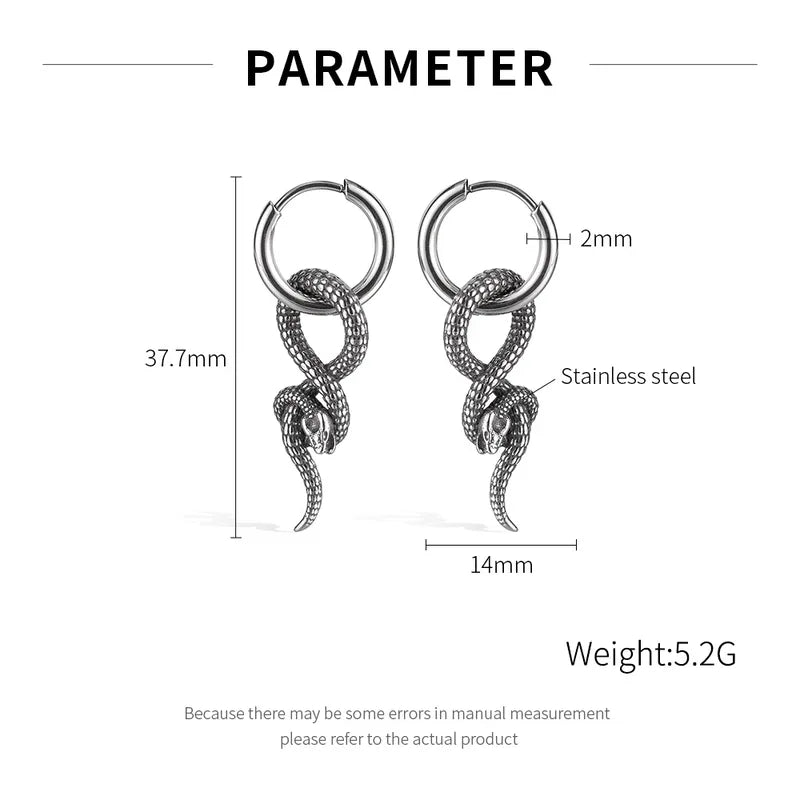Vintage Snake Hoop Earrings – 316 Stainless Steel (Pair, Hip-Hop Style)